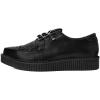 imageTUK Anarchic Creeper Shoes for Women and Men  Pointed Toe LaceUp with DRing Fastening  Low Platform Footwear  Foam Padded Insole ampamp Twill LiningBlack