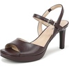 Chocolate Plum