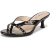 Black Tortoise Patent