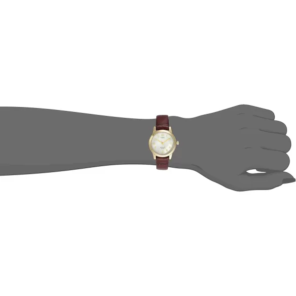 Timex Womens Essex Ave 25mm WatchGoldBurgundyMOP