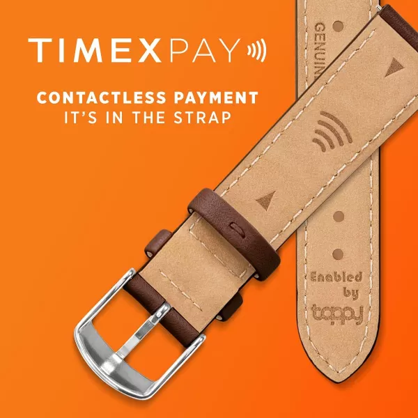Timex Womens Easy Reader WatchPinkRose GoldToneCreamTimexPay30MM