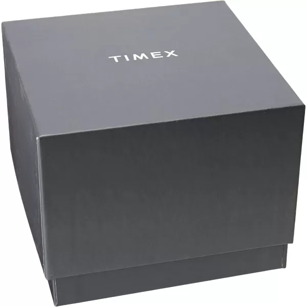Timex Mens Expedition Sierra 40mm WatchBlueBrown
