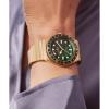 imageTimex Womens Q 36mm WatchGoldToneGoldToneGreen