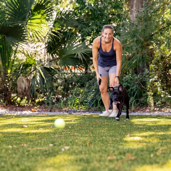 Franklin Pet Supply Tennis Ball Launcher for Dogs  Dog Ball  Tennis Ball Thrower for Fetch  Perfect Toy for Large  Small Dogs17 Ball
