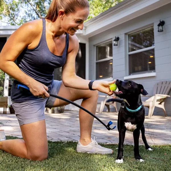 Franklin Pet Supply Tennis Ball Launcher for Dogs  Dog Ball  Tennis Ball Thrower for Fetch  Perfect Toy for Large  Small Dogs17 Ball