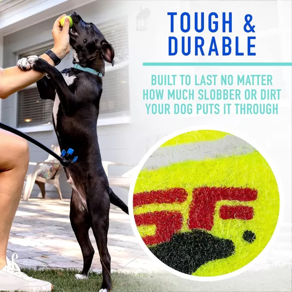 Franklin Pet Supply Tennis Ball Launcher for Dogs  Dog Ball  Tennis Ball Thrower for Fetch  Perfect Toy for Large  Small Dogs17 Ball