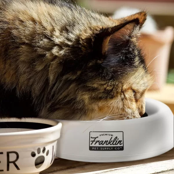 Franklin Pet Supply Travel Pet Silicon Bowl 27oz  No Spill  BPA Free  Splash Proof  for Water and Food  Travel Smart Design  Portable Car Design  for Larger DogsBlue16 oz