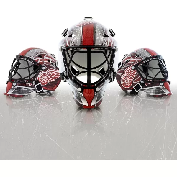 Franklin Sports NHL Team Logo Mini Hockey Goalie Mask with Case  Collectible Goalie Mask with Official NHL Logos and ColorsDetroit Red Wings