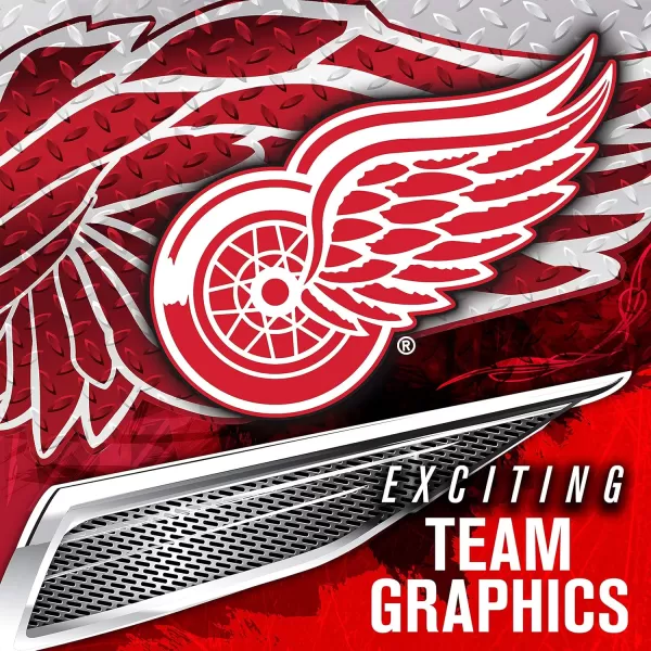 Franklin Sports Team Licensed NHL Hockey Goalie Face Mask  Goalie Mask for Kids Street Hockey  Youth NHL Team Street Hockey MasksDetroit Red Wings