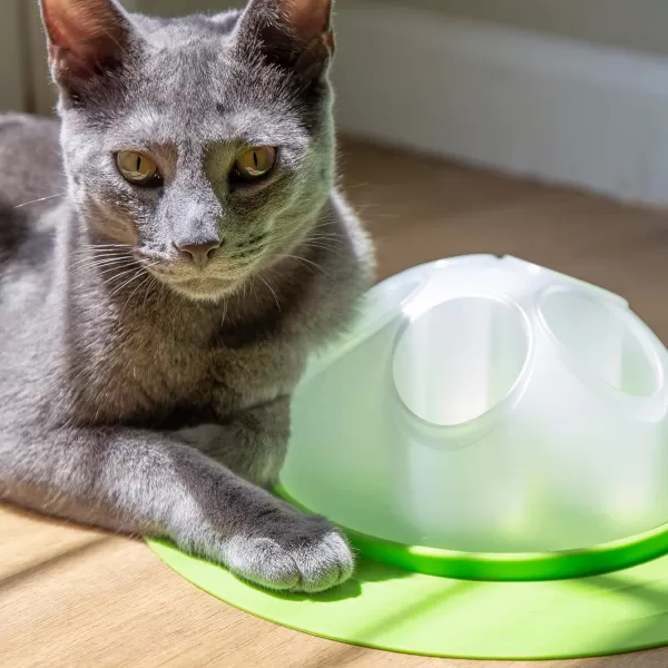 Franklin Pet Supply Interactive Cat Digging Slow Feeder Bowl  Toy Cat Bowl for Treats  Food  Scratching Bowl Slow Feeder  Interactive Toy  Slow Feeder Bowl for Cats  KittensCat Bowl