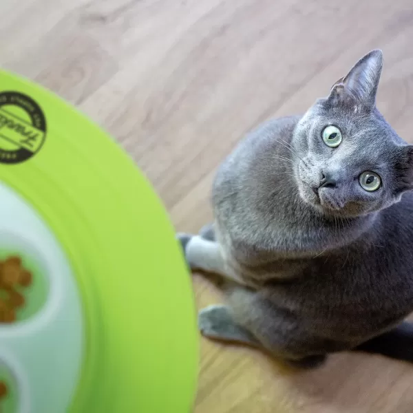Franklin Pet Supply Interactive Cat Digging Slow Feeder Bowl  Toy Cat Bowl for Treats  Food  Scratching Bowl Slow Feeder  Interactive Toy  Slow Feeder Bowl for Cats  KittensCat Bowl