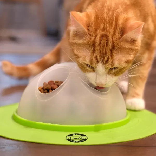 Franklin Pet Supply Interactive Cat Digging Slow Feeder Bowl  Toy Cat Bowl for Treats  Food  Scratching Bowl Slow Feeder  Interactive Toy  Slow Feeder Bowl for Cats  KittensCat Bowl