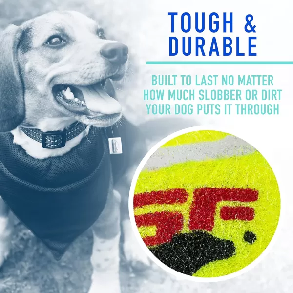 Franklin Pet Supply Squeaky Dog Tennis Balls  Ready Set Fetch Dog Toy Tennis Balls with Squeaker  Perfect Pet Toy Fetch Ball for Small Medium  Large Dogs  3 PackPack of 12