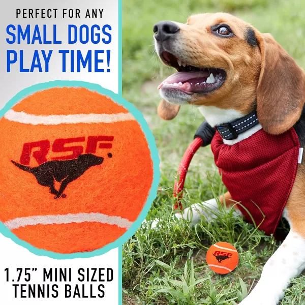 Franklin Pet Supply Squeaky Dog Tennis Balls  Ready Set Fetch Dog Toy Tennis Balls with Squeaker  Perfect Pet Toy Fetch Ball for Small Medium  Large Dogs  3 PackPack of 4