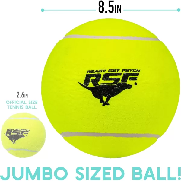Franklin Pet Supply Squeaky Dog Tennis Balls  Ready Set Fetch Dog Toy Tennis Balls with Squeaker  Perfect Pet Toy Fetch Ball for Small Medium  Large Dogs  3 PackPack of 1