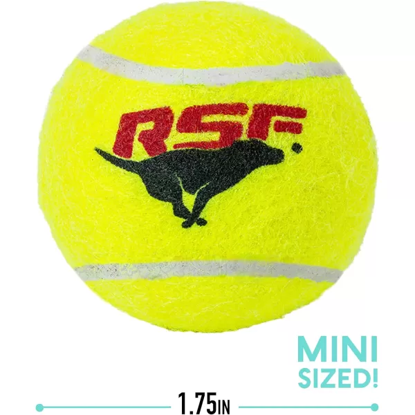 Franklin Pet Supply Squeaky Dog Tennis Balls  Ready Set Fetch Dog Toy Tennis Balls with Squeaker  Perfect Pet Toy Fetch Ball for Small Medium  Large Dogs  3 PackPack of 12