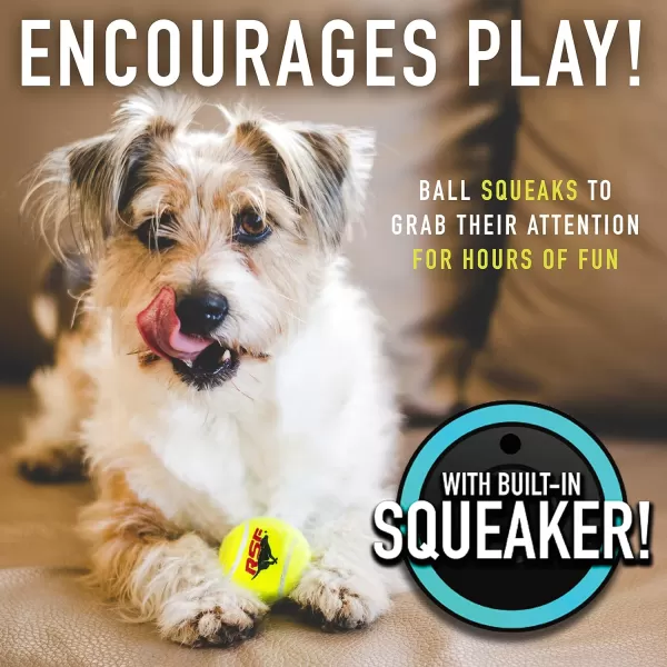 Franklin Pet Supply Squeaky Dog Tennis Balls  Ready Set Fetch Dog Toy Tennis Balls with Squeaker  Perfect Pet Toy Fetch Ball for Small Medium  Large Dogs  3 PackPack of 12