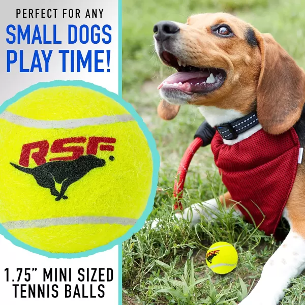 Franklin Pet Supply Squeaky Dog Tennis Balls  Ready Set Fetch Dog Toy Tennis Balls with Squeaker  Perfect Pet Toy Fetch Ball for Small Medium  Large Dogs  3 PackPack of 12