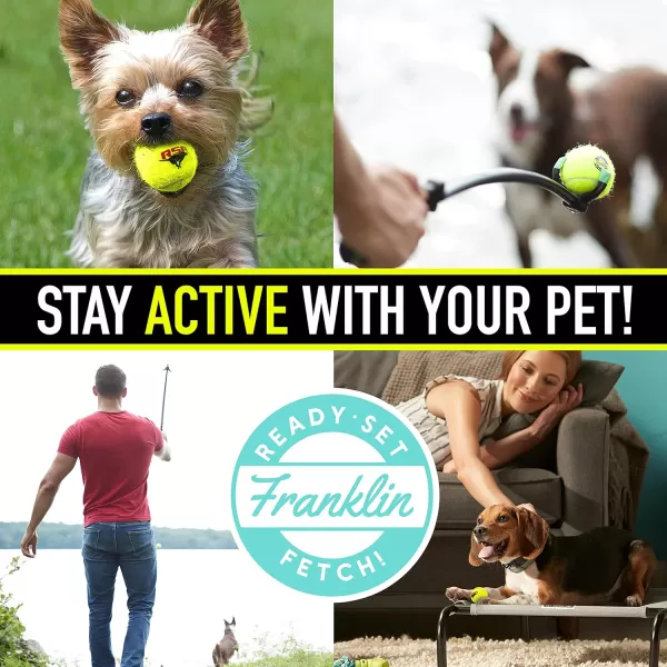 Franklin Pet Supply Squeaky Dog Tennis Balls  Ready Set Fetch Dog Toy Tennis Balls with Squeaker  Perfect Pet Toy Fetch Ball for Small Medium  Large Dogs  3 PackPack of 12