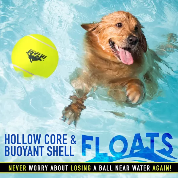 Franklin Pet Supply Squeaky Dog Tennis Balls  Ready Set Fetch Dog Toy Tennis Balls with Squeaker  Perfect Pet Toy Fetch Ball for Small Medium  Large Dogs  3 PackPack of 1