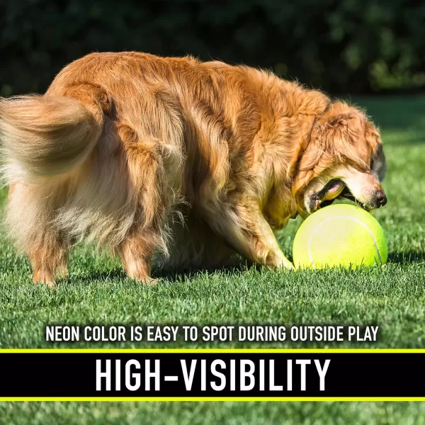 Franklin Pet Supply Squeaky Dog Tennis Balls  Ready Set Fetch Dog Toy Tennis Balls with Squeaker  Perfect Pet Toy Fetch Ball for Small Medium  Large Dogs  3 PackPack of 1