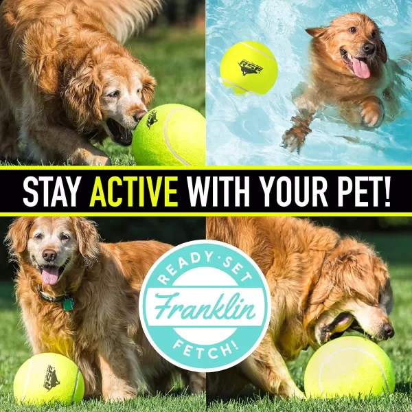Franklin Pet Supply Squeaky Dog Tennis Balls  Ready Set Fetch Dog Toy Tennis Balls with Squeaker  Perfect Pet Toy Fetch Ball for Small Medium  Large Dogs  3 PackPack of 1