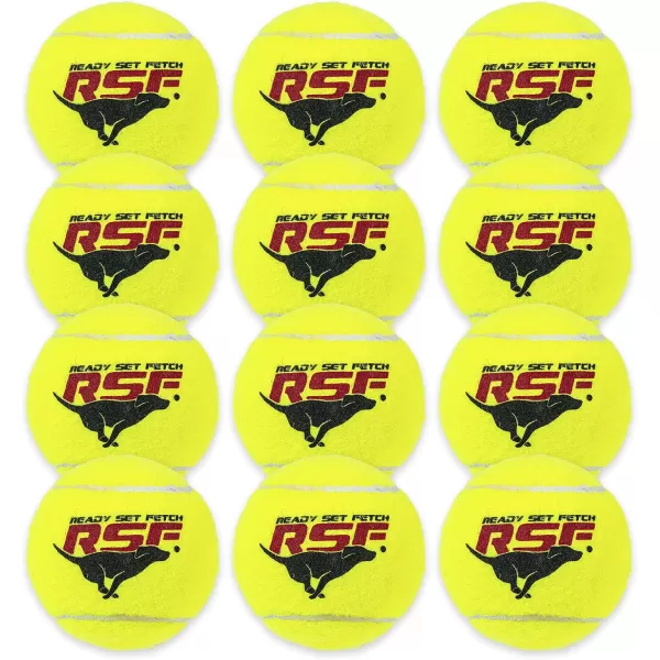 Franklin Pet Supply Squeaky Dog Tennis Balls  Ready Set Fetch Dog Toy Tennis Balls with Squeaker  Perfect Pet Toy Fetch Ball for Small Medium  Large Dogs  3 PackPack of 12