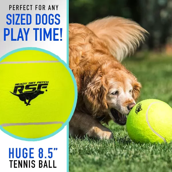 Franklin Pet Supply Squeaky Dog Tennis Balls  Ready Set Fetch Dog Toy Tennis Balls with Squeaker  Perfect Pet Toy Fetch Ball for Small Medium  Large Dogs  3 PackPack of 1