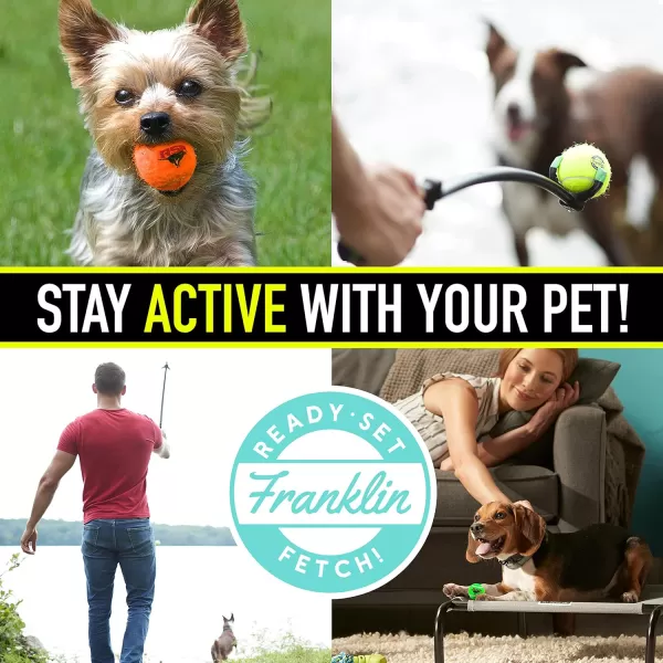 Franklin Pet Supply Squeaky Dog Tennis Balls  Ready Set Fetch Dog Toy Tennis Balls with Squeaker  Perfect Pet Toy Fetch Ball for Small Medium  Large Dogs  3 PackPack of 4