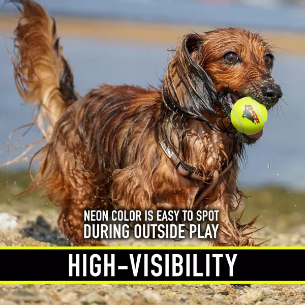 Franklin Pet Supply Squeaky Dog Tennis Balls  Ready Set Fetch Dog Toy Tennis Balls with Squeaker  Perfect Pet Toy Fetch Ball for Small Medium  Large Dogs  3 PackPack of 4