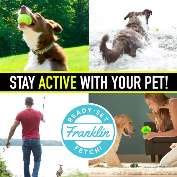 Franklin Ready Set Fetch Laugh and Wiggle Ball  Interactive Dog Toy  Fun Giggle Sounds  Encourage Endless Play  BPA Free  Tough  No Batteries RequiredSmall
