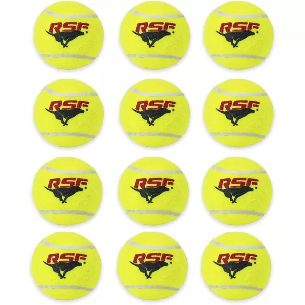 Franklin Pet Supply Squeaky Dog Tennis Balls  Ready Set Fetch Dog Toy Tennis Balls with Squeaker  Perfect Pet Toy Fetch Ball for Small Medium  Large Dogs  3 PackPack of 12