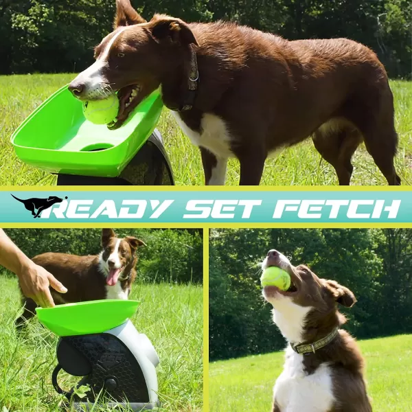 Franklin Pet Ready Set Fetch Automatic Tennis Ball Launcher Dog Toy  Official Size Tennis Ball Thrower  Interactive ToyGreenBlack