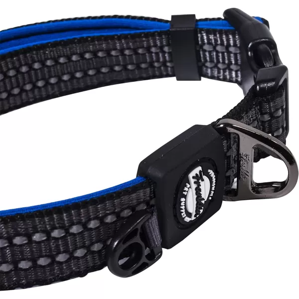 Franklin Sports Nylon Dog Collar  Reflective  Franklin Pet Supply Co  Comfort Fit  Neoprene  Adjustable  Small  RedBlue
