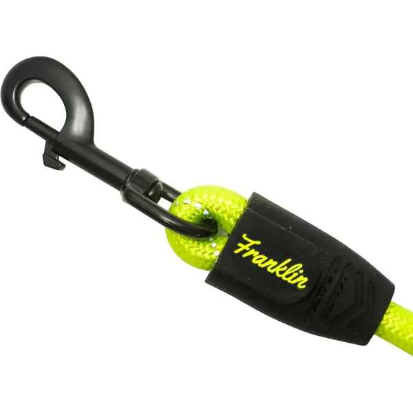 Franklin Sports Pet Supply Nylon Dog Leash  Rope  Reflective  Dog Training  6 Foot  Dog Walking  Ultra Strong  GreenGreen