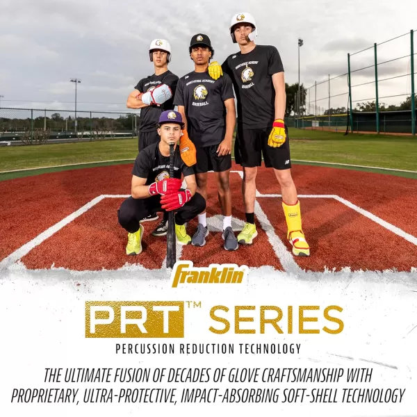 Franklin Sports PRT Series Adult Leg GuardBlackGold