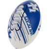 Kentucky Wildcats