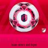 imageFranklin Sports Official MLS Team Soccer Balls  Official Size 5 Soccer Balls  Regulation Size  Weight Soccer Ball for Kids  Adults  Boys  Girls Soccer Ball  Air Pump IncludedSt Louis City SC