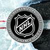 imageFranklin Sports NHL Team 48quot Vinyl Street Hockey StickMinnesota Wild