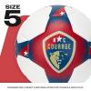 imageFranklin Sports NWSL Team Soccer Balls  Soccer Balls for Kids  Adults  Boys  Girls Soccer Balls  Official NWSL Team Soccer Ball  Available in Official Size 5 or Mini Size 1North Carolina Courage