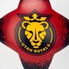 imageFranklin Sports NWSL Team Soccer Balls  Soccer Balls for Kids  Adults  Boys  Girls Soccer Balls  Official NWSL Team Soccer Ball  Available in Official Size 5 or Mini Size 1Utah Royals