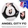 imageFranklin Sports NWSL Team Soccer Balls  Soccer Balls for Kids  Adults  Boys  Girls Soccer Balls  Official NWSL Team Soccer Ball  Available in Official Size 5 or Mini Size 1Angel City FC