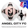 imageFranklin Sports NWSL Team Soccer Balls  Soccer Balls for Kids  Adults  Boys  Girls Soccer Balls  Official NWSL Team Soccer Ball  Available in Official Size 5 or Mini Size 1Angel City FC