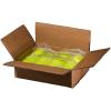 imageFranklin Sports X40 Outdoor Pickleballs  Official Ball of USA Pickleball APP Tour  Pickleball US Open  3 Packs 12 Packs 36 Pickleball Buckets 50 100  400 Bulk Packs of Regulation PickleballsYellow