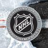image:imageFranklin Sports Street Pack Backpack  Official NHL Hockey Equipment Bags  Authentic Logos and ColorArizona Coyotes