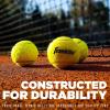 image:imageFranklin Sports  Axel Padel Set  2 Fiberglass Padel Rackets with Foam Core Balls amp Carrying Case and Replacement BallsReplacement Balls