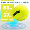 image:imageFranklin Sports  Axel Padel Set  2 Fiberglass Padel Rackets with Foam Core Balls amp Carrying Case and Replacement BallsReplacement Balls