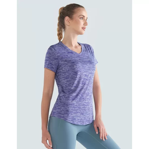 image5 Pack Womens Dry Fit Short Sleeve T Shirts Athletic Workout Tee Tops for Gym Yoga RunningGrayCeriseCherryGlacier BlueSonar Blue