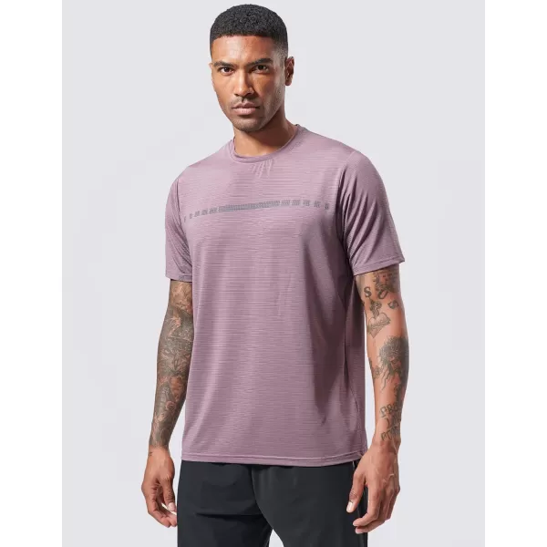 image5 Pack Mens Active Quick Dry Crew Neck T Shirts  Athletic Running Gym Workout Short Sleeve Tee Tops BulkDusty BlueMisty PurpleArmy GreenNavyCharocal