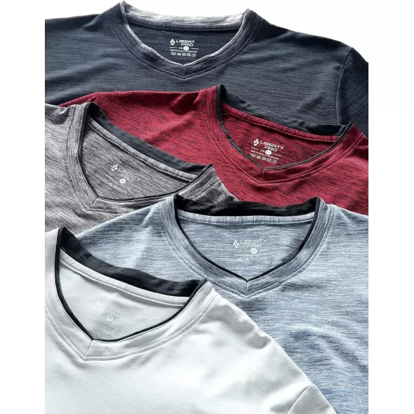 image5 Pack Mens VNeck Dry Fit TShirts Active Athletic Short Sleeve Workout Tops Performance Gym Tees Available in Plus SizeHeather GraysLight BlueBlackMaroon